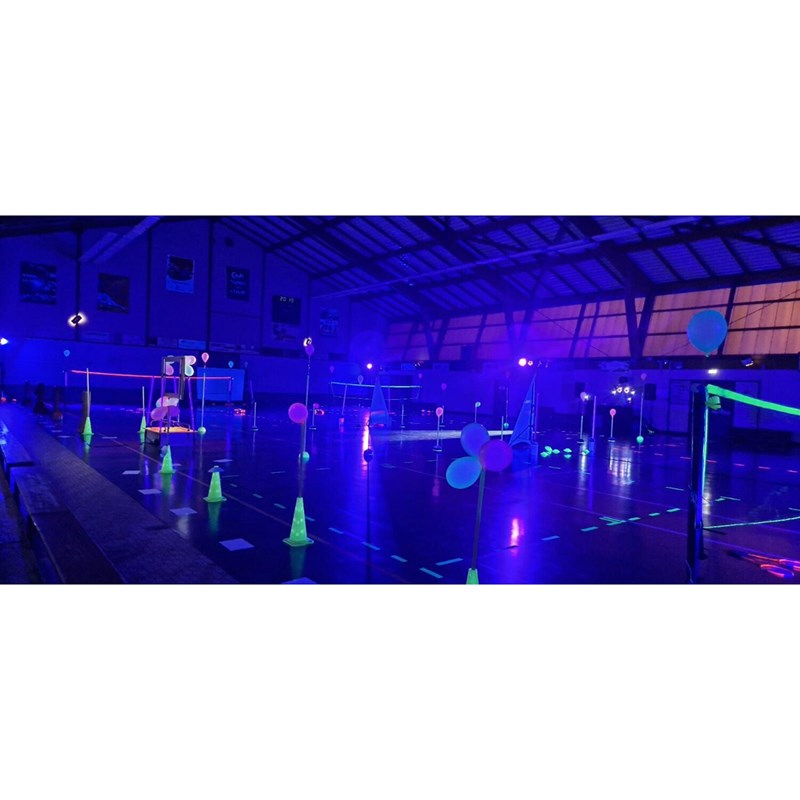 Projecteur PAR LED 4x50W UV - DMX