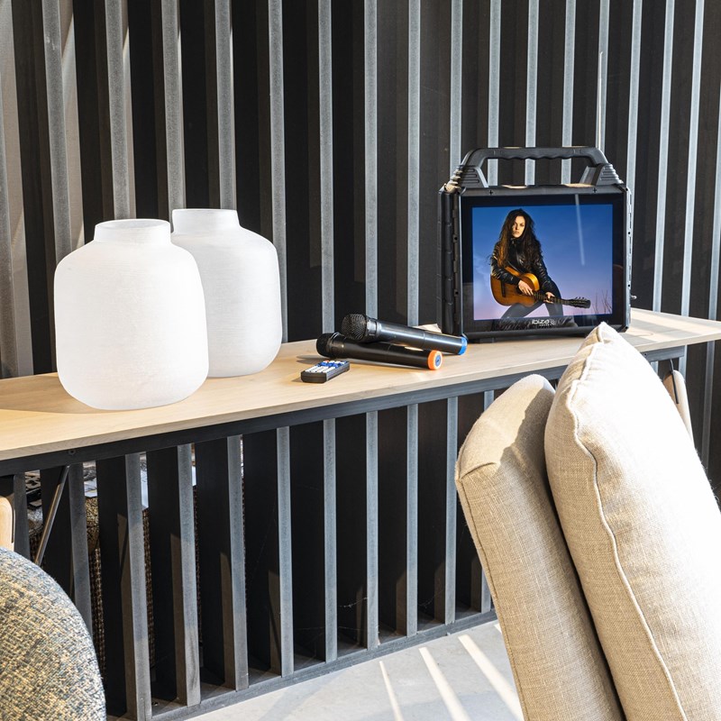 Système Karaoké avec écran 14'' - 2 micros sans fil