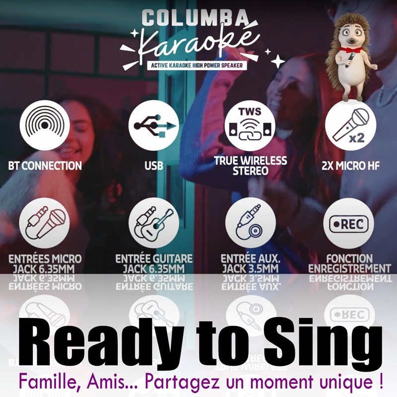 Pack Enceinte Karaoké Bluetooth 1000W - 2 Micros - Machine Fumée 700W - Effet Astro Fête