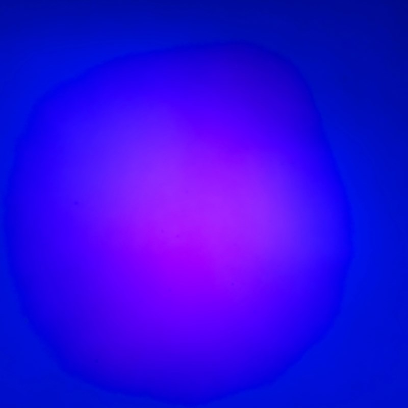 Effet LED STROBE - 6 x 1W RVB - Sur batterie