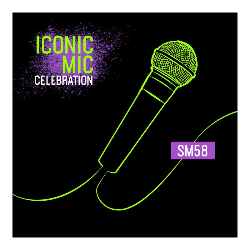 Micro voix dynamique cardioide SM58 - présentation2