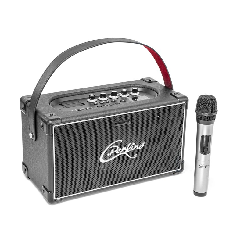 Enceinte BT  - Micro UHF intégré (karaoké) - Sur batterie portable