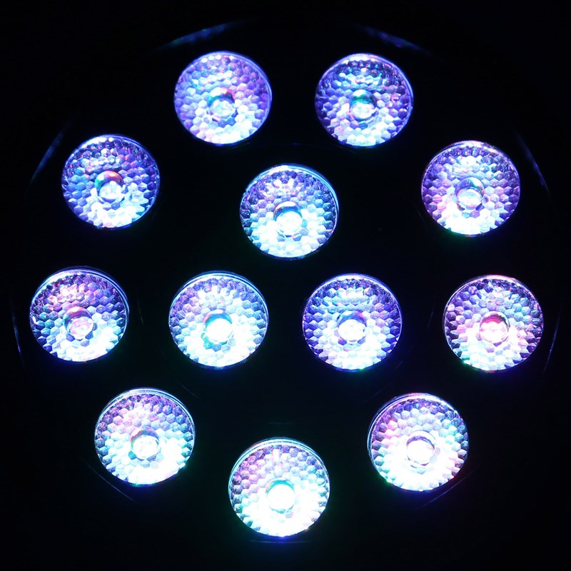 Projecteur PAR LED - 12 x 3W RGB - 3-en-1 évènement