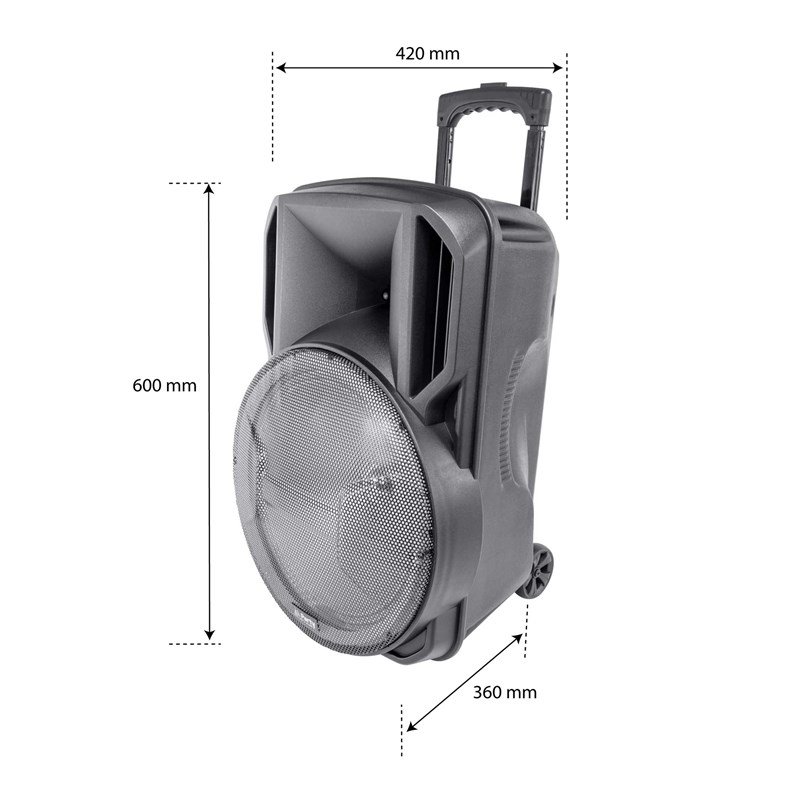 Enceinte Portable 15'' - Batterie - LED RVB - Micro VHF karaoke