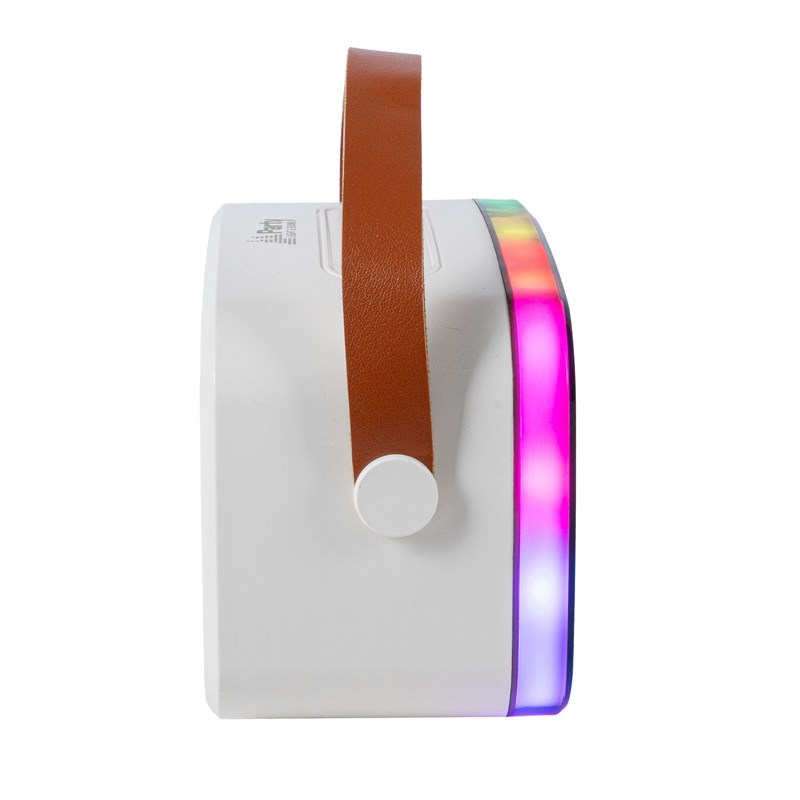 Enceinte Karaoké portable - 2 micros sans fil, BT, USB & effets lumineux microphone