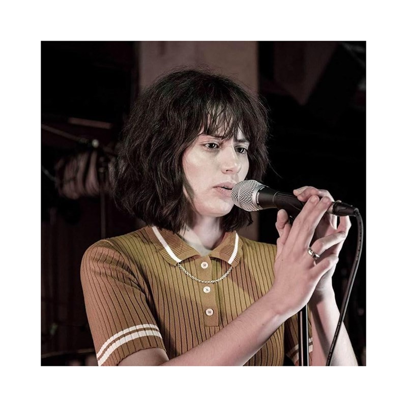 Micro voix statique cardioide SM86 - présentation