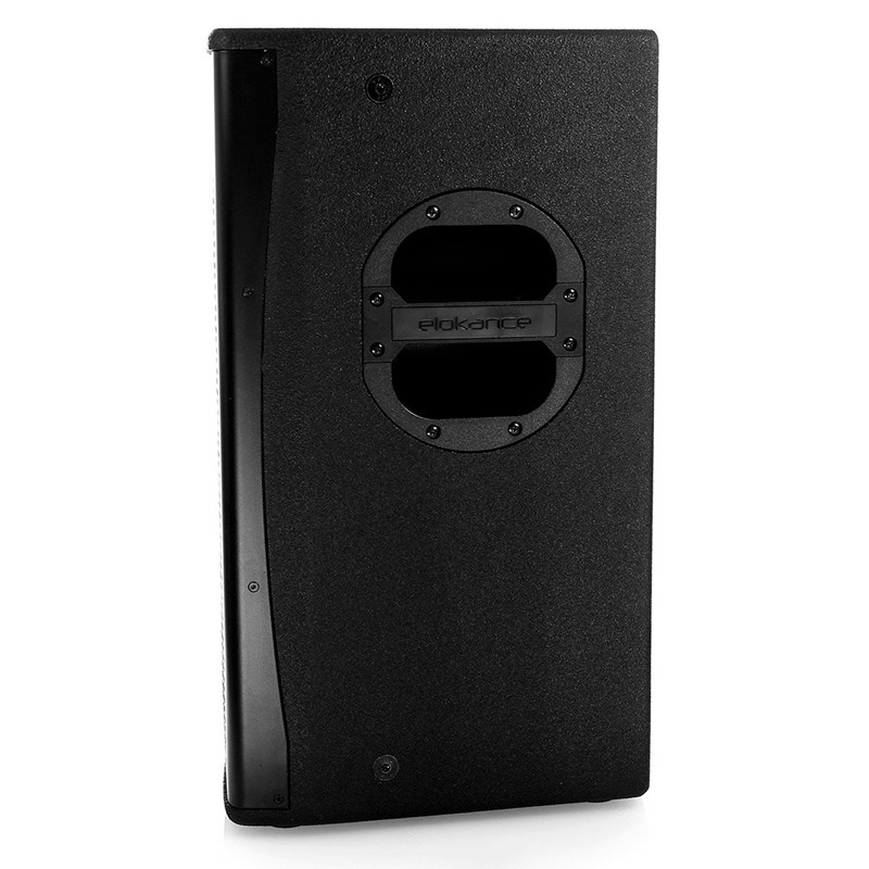 Enceinte passive 2 voies 31 cm - 300W RMS - M10 & BF/HF - Elokance - E Pro 12 mk2 profile