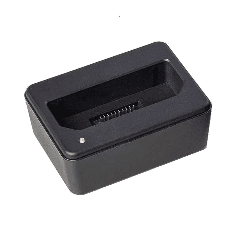 Chargeur Rapide pour Batterie