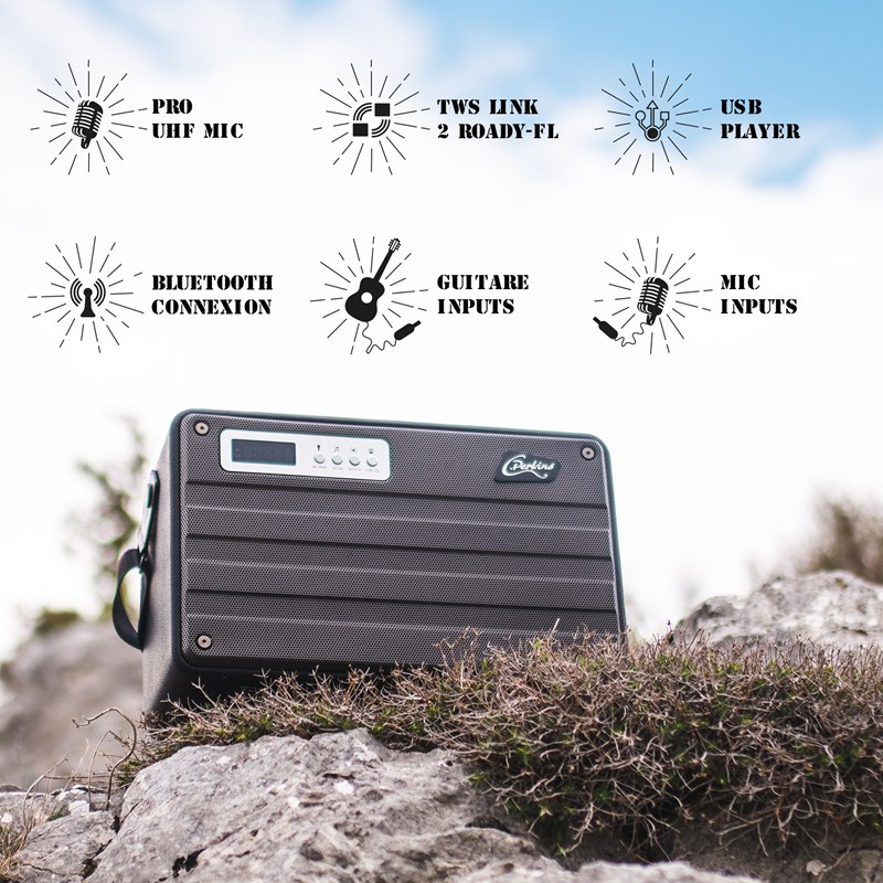 Enceinte portable 100W