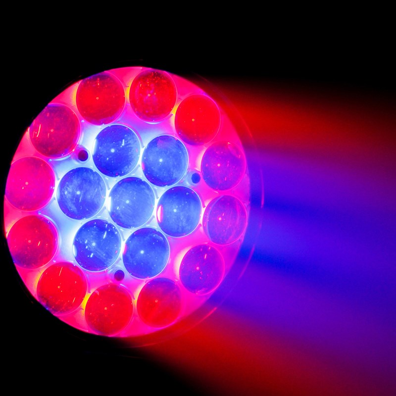 Lyre Wash LED 19x15W RGBW avec Zoom - DMX Ambiance