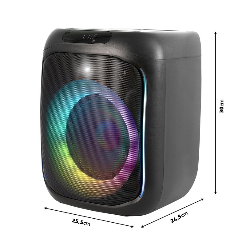 Enceinte de 6,5" - Micro - Sur batterie