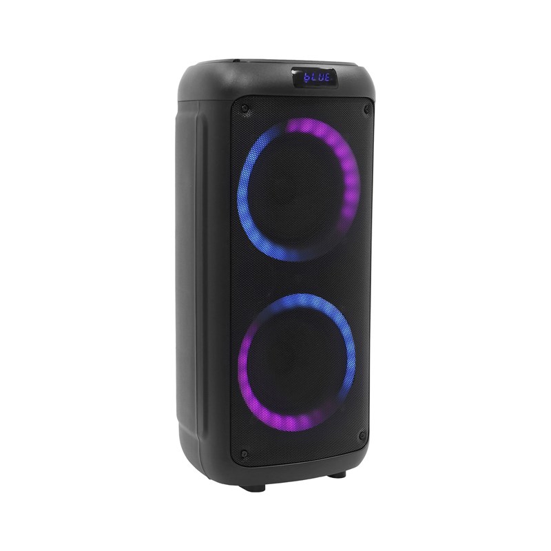 Enceinte LEDS RGB