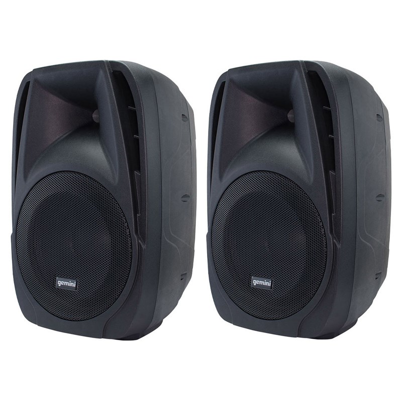 Système amplifié 2x10" avec mixeur