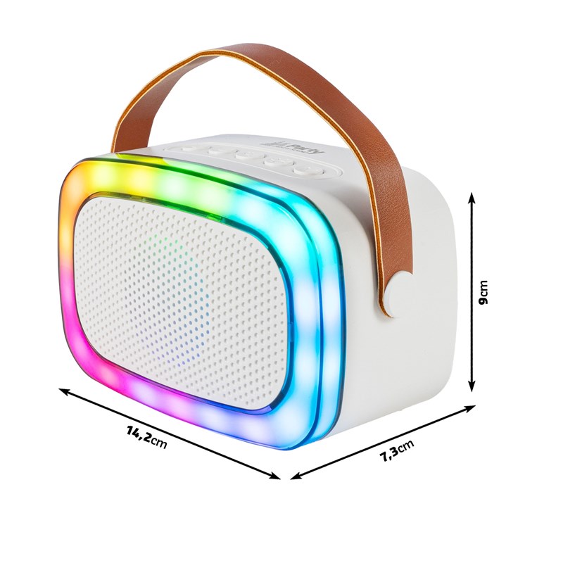 Enceinte Karaoké portable - 2 micros sans fil, BT, USB & effets lumineux bluetooth