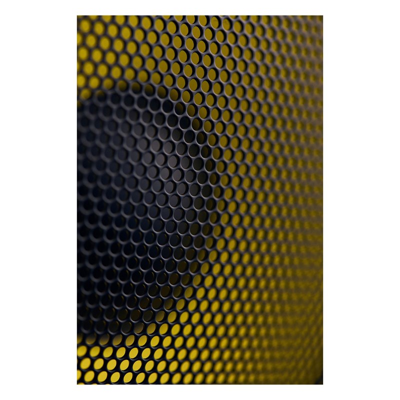 KRK Rokit RP5 G5 (La pièce) grille