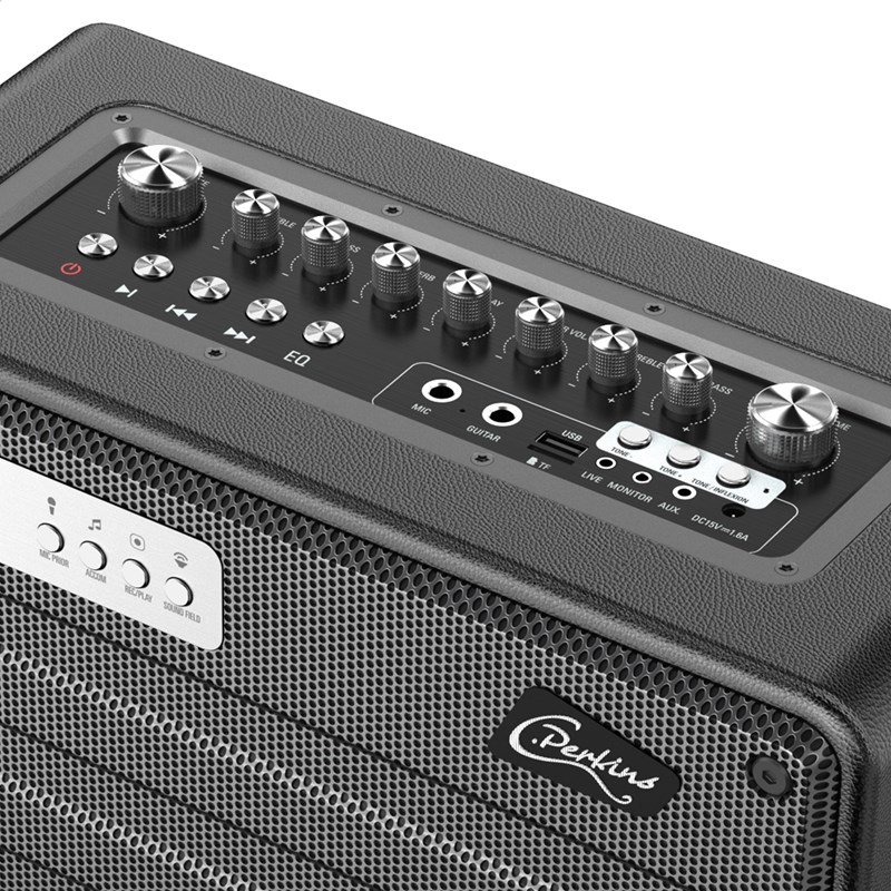 Enceinte portable 100W - 1 micro