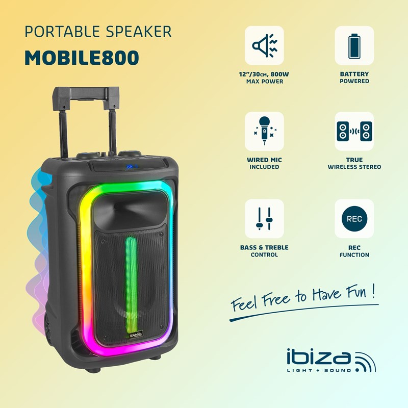 Enceinte BT autonome 800W - 12'' - Micro filaire, Trolley & LED USB