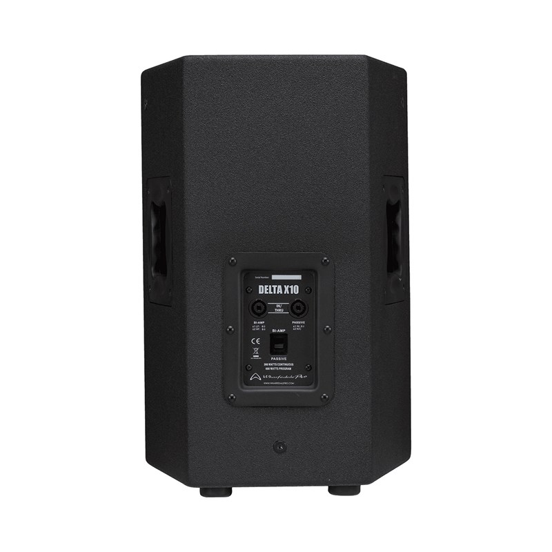 Enceinte passive 10" 300W RMS - arrière