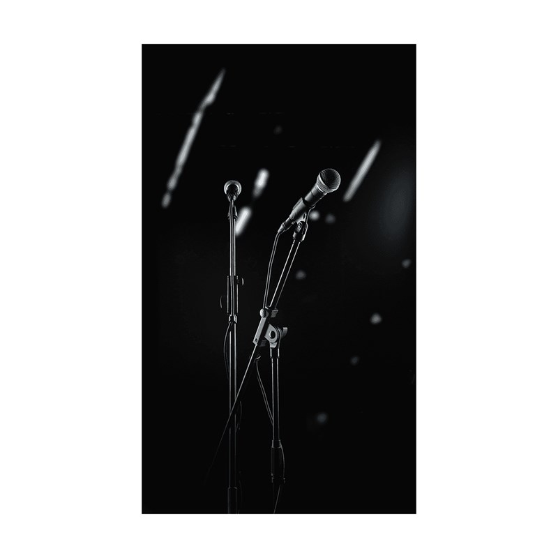 Pack Bundle micro filaire avec câble et pied micro perche - présentation