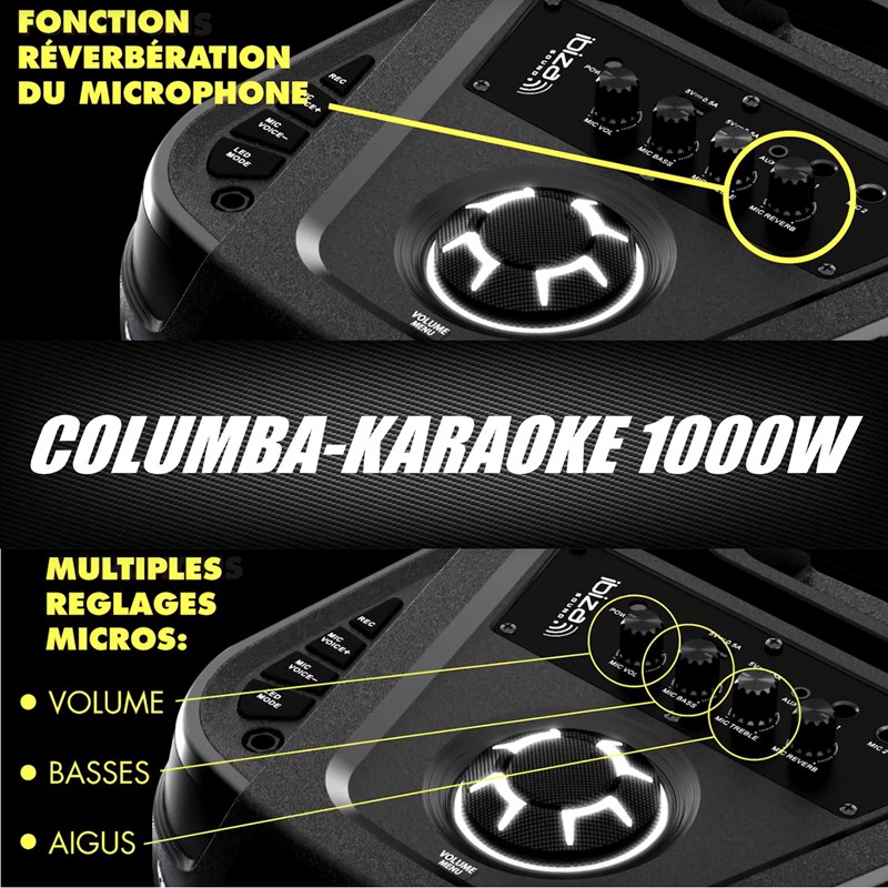 Pack Enceinte Karaoké Bluetooth 1000W - 2 Micros Sans Fil - Effet Astro LED