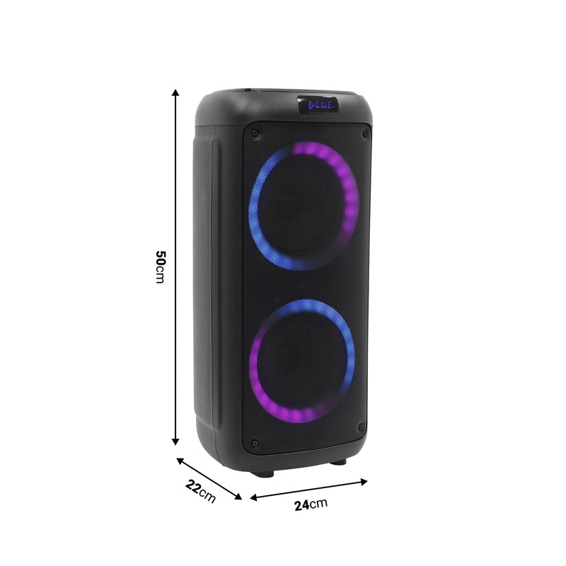 Enceinte Portable sur Batterie 300W
